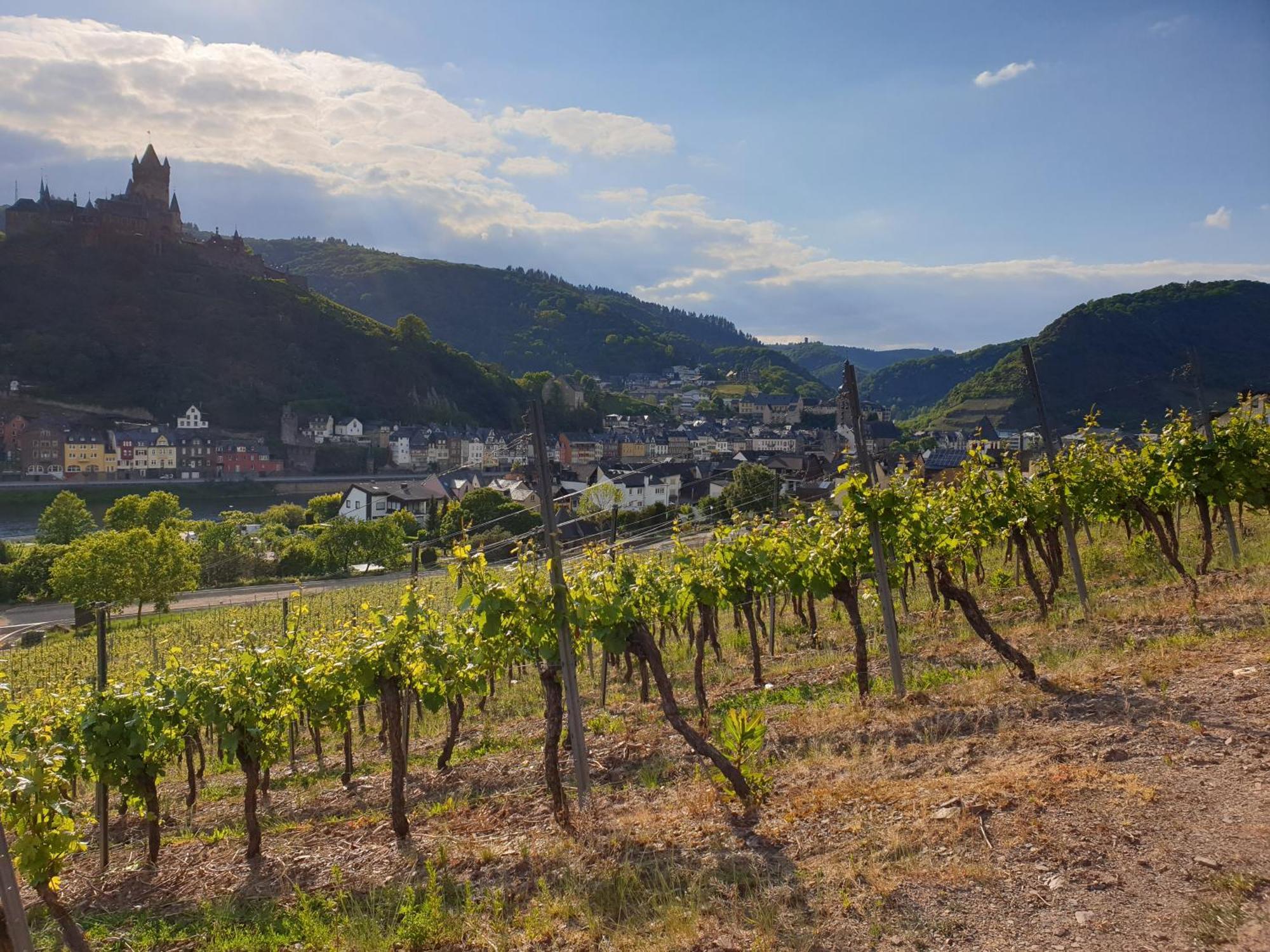 Weingut Haxel Hotel Cochem Exterior foto